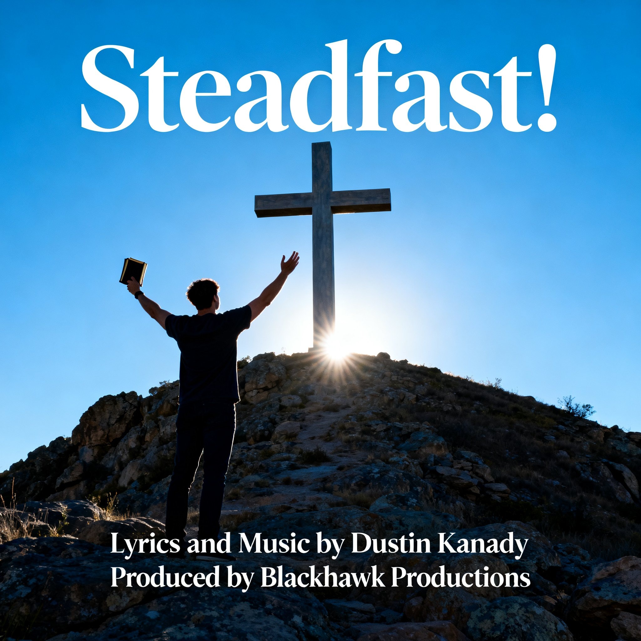 Steadfast! cover art